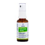 WELEDA Calendula Spray 1×75 ml