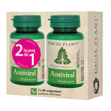 Antiviral echinacea and astragalus, 60 tablets, 1+1, Dacia Plant