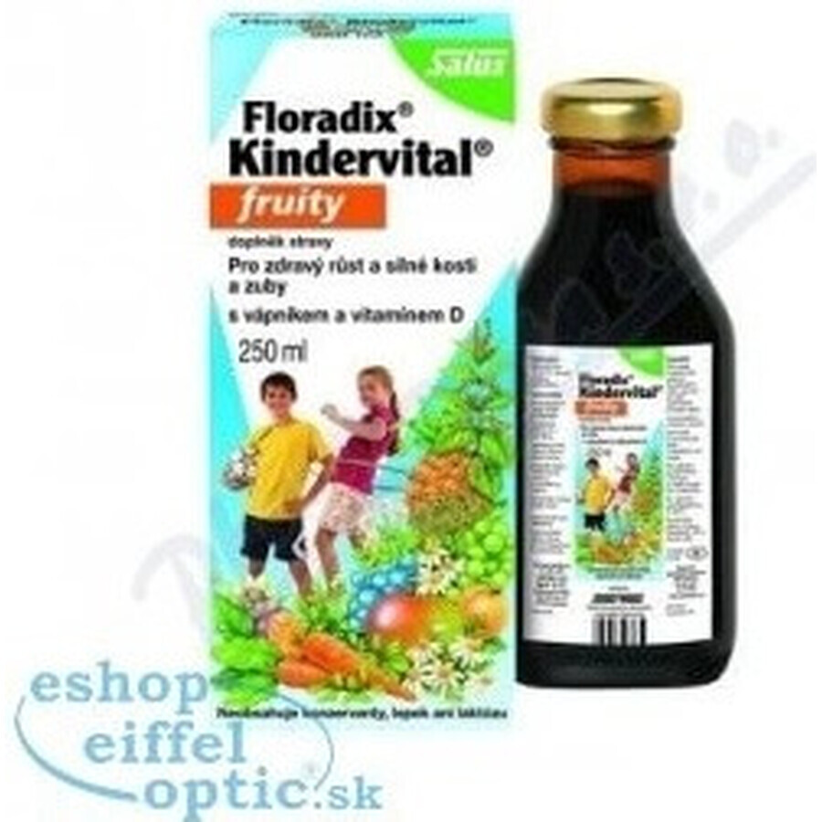 SALUS Floradix Floradix Kindervital fruité 1×250 ml, sirop à base de plantes