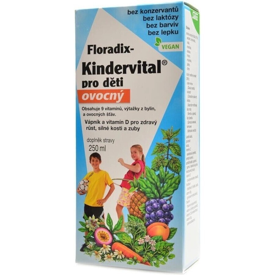 SALUS Floradix Floradix Kindervital fruité 1×250 ml, sirop à base de plantes