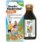 SALUS Floradix Floradix Kindervital fruité 1×250 ml, sirop à base de plantes