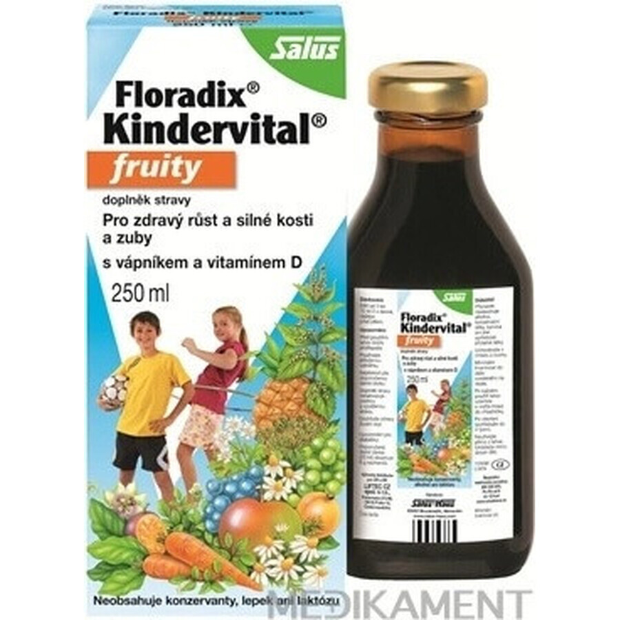 SALUS Floradix Floradix Kindervital fruité 1×250 ml, sirop à base de plantes