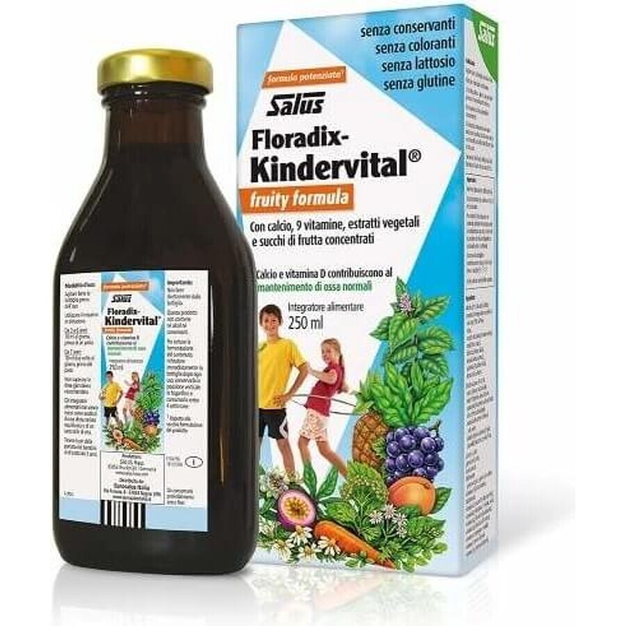 SALUS Floradix Floradix Kindervital fruité 1×250 ml, sirop à base de plantes