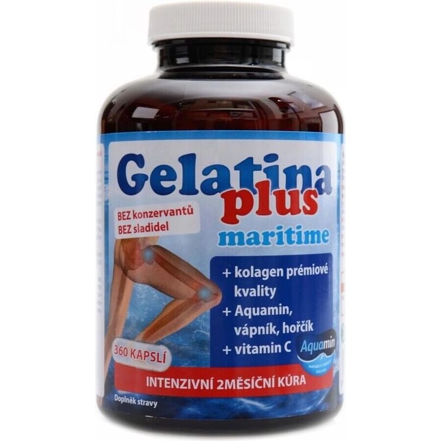 TEREZIA Gelatin Plus 1×360 cps, joint nutrition