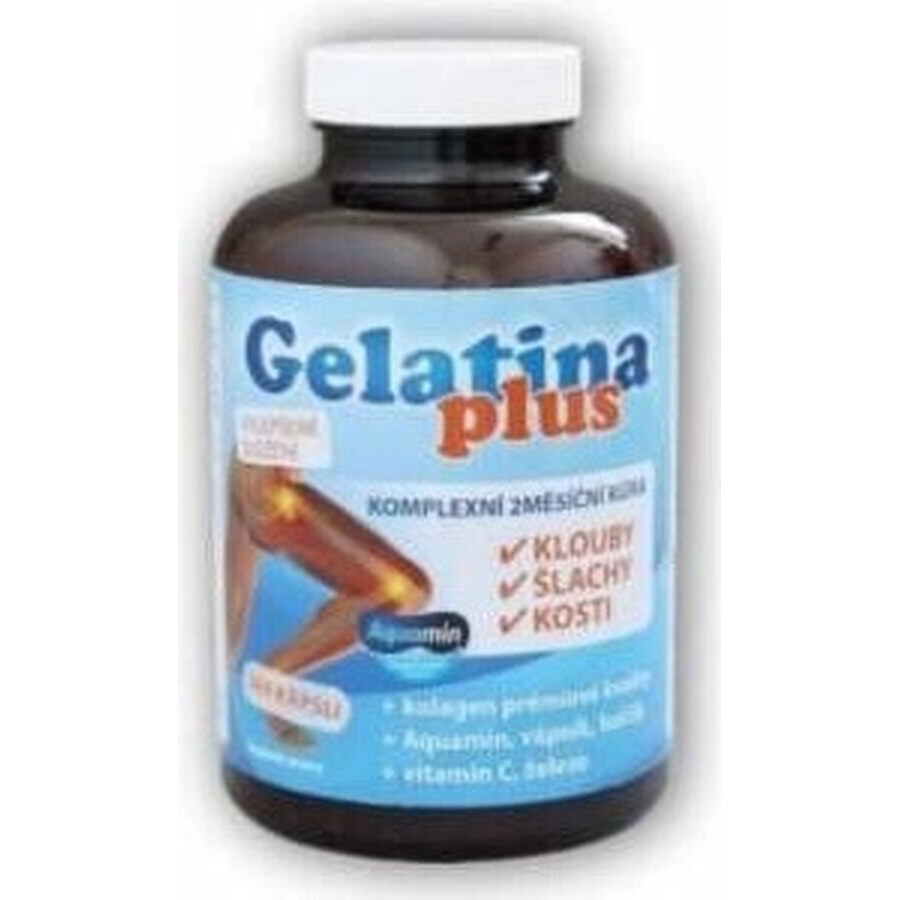 TEREZIA Gelatin Plus 1×360 cps, joint nutrition