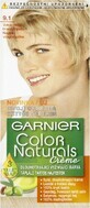 Garnier Color Naturals Colore Permanente per Capelli 9.1 Biondo Chiarissimo Biondo Cenere 1&#215;1 pezzo, colore per capelli