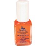 VIER JAHRESZEITEN ANTI-FURNITUR-NAILLACQUER 1×14 ml mit Orangenschalen