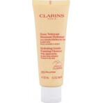 Clarins Gentle Moisturising Cleansing Foam for Normal to Dry Skin 1×125 ml, Reinigungsschaum