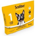 SCALIBOR Beschermende tape 1×1 pc, antiparasitaire kraag 48 cm