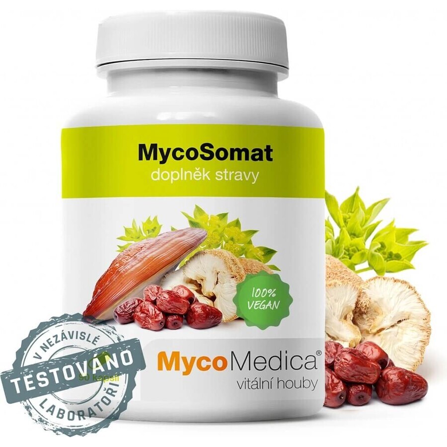 Micomedica Micosomat Vegan 500mg 90cps 1×90 cps