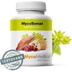 Micomedica Micosomat Vegan 500mg 90cps 1×90 cps