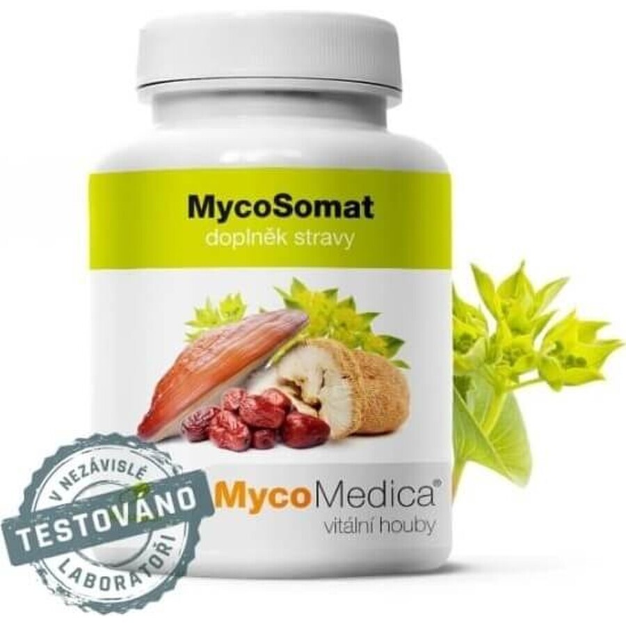 Micomedica Micosomat Vegan 500mg 90cps 1×90 cps