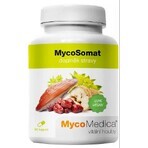 Micomedica Micosomat Vegan 500mg 90cps 1×90 cps