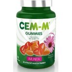 CEM-M for adults Immunity 1×90 tbl, multivitamin with minerals