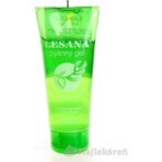 ALPA LESANA GEL 1×100 ml, gel alle erbe