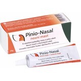 Pinio-Nasal nasal ointment 1×10 g, nasal ointment