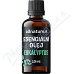 Allnature Aceite esencial de eucalipto 1×10 ml, aceite esencial