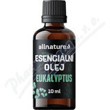 Allnature Olio essenziale di eucalipto 1×10 ml, olio essenziale