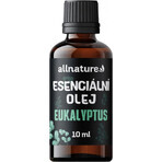 Allnature Aceite esencial de eucalipto 1×10 ml, aceite esencial