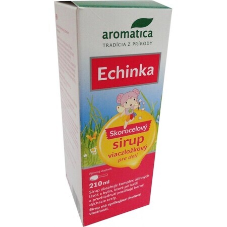 Aromatica ECHINKA Sciroppo alla cannella per bambini 1×210 ml, sciroppo per la tosse