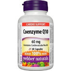 WEBBER NATURALS Coenzima Q10 60 mg 1×60 cps, integratore alimentare