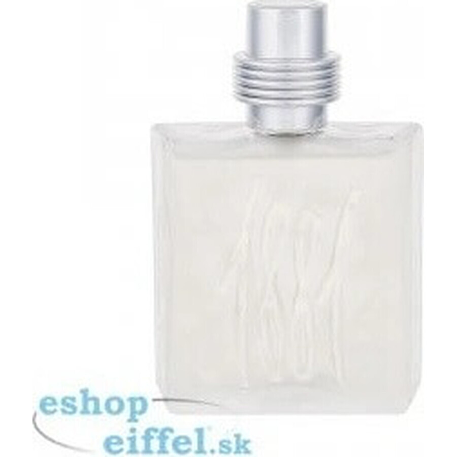 Cerruti 1881 Man Edt 100ml 1×100 ml, Eau de toilette