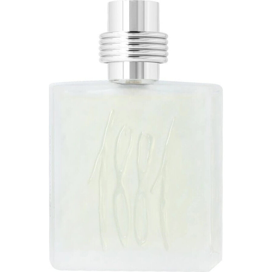 Cerruti 1881 Man Edt 100ml 1×100 ml, Eau de toilette