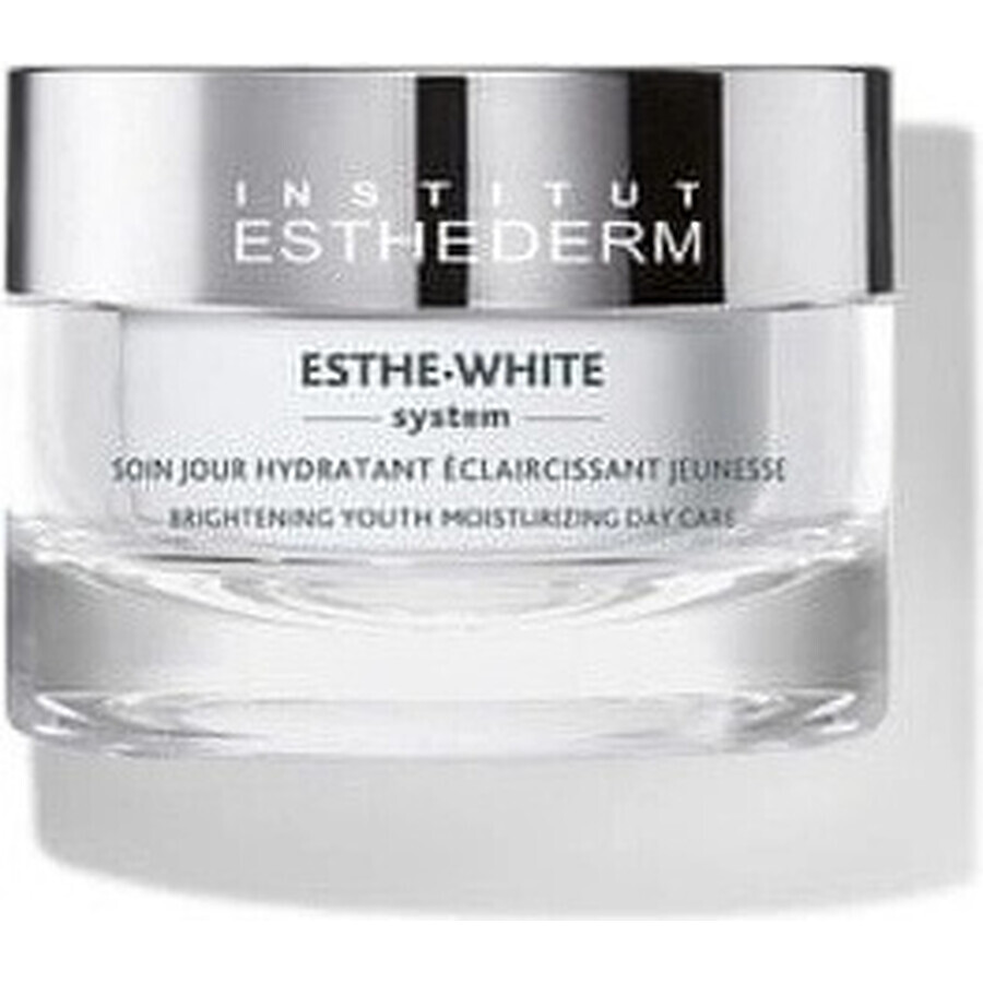 Institut Esthederm Institut Esthederm White Brightening Youth Moisturising Day Care 50 ml 1×50 ml, crema da giorno