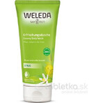 WELEDA Shower Emulsion Citrus 1×200 ml, shower emulsion