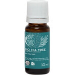 Tierra Verde Tea Tree Olio Essenziale Biologico 30ml 1×1 pz, olio