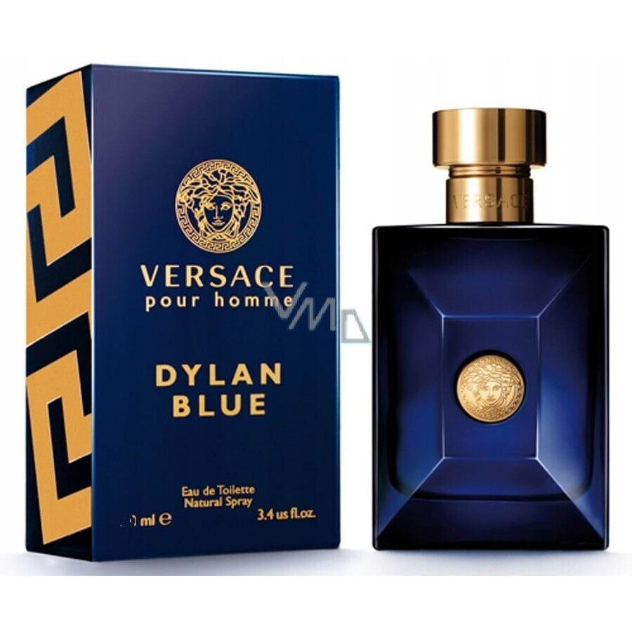 VERSACE POUR HOMME DYLAN B Eau de toilette 50ML 1×50 ml, Eau de toilette