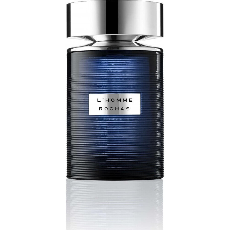 Rochas L Homme Edt 100ml 1×100 ml, Eau de toilette