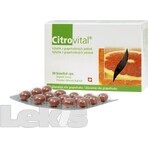 CITROVITAL CITROVITAL CÁPSULAS 1×30 cps, complemento alimenticio