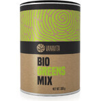 GYMBEAM VANAVITA BIO GREENS MIX 1×300g, amestec verde de superalimente