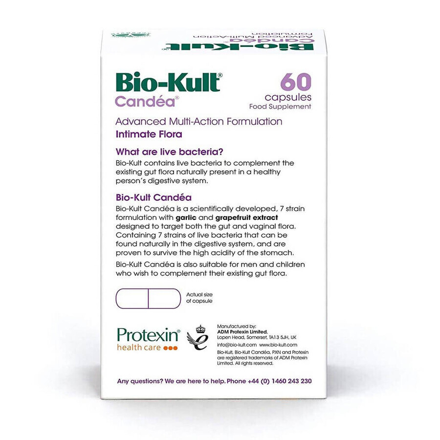 Bio-kult Candea, 60 Kapseln, Protexin