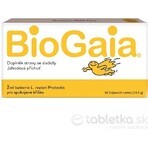 BioGaia ProTectis 1×10 pezzi, compresse masticabili - gusto fragola