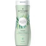 ATTITUDE Shampoo naturale Super leaves con effetto detossinante - nutriente per capelli secchi e danneggiati 1×473 ml, shampoo naturale