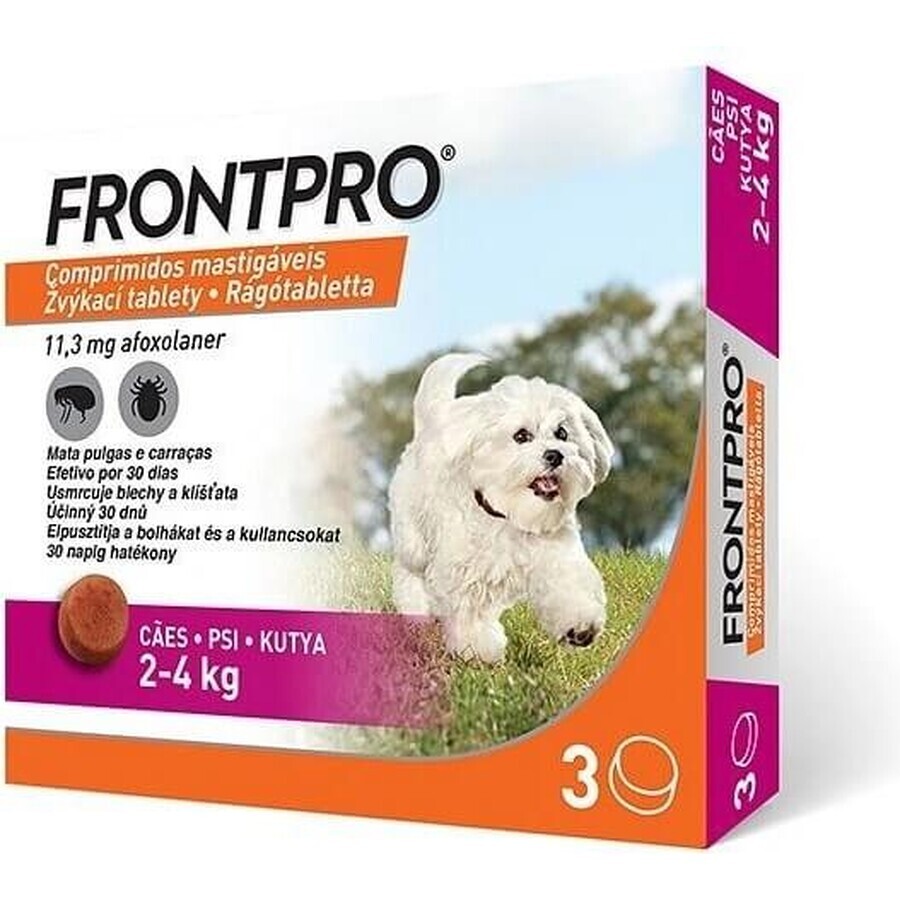 FRONTPRO® compresse masticabili antiparassitarie per cani (2-4 kg) 1×3 tbl, compresse antiparassitarie