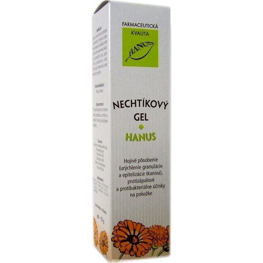 GEL DI HANUS NECHTIK 1×55 ml, gel curativo