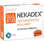 NEKADEX 1×20 cps, complément alimentaire