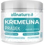 Allnature Kremelina en polvo 100g 1×100g