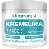 Allnature Kremelina in polvere 100g 1×100g