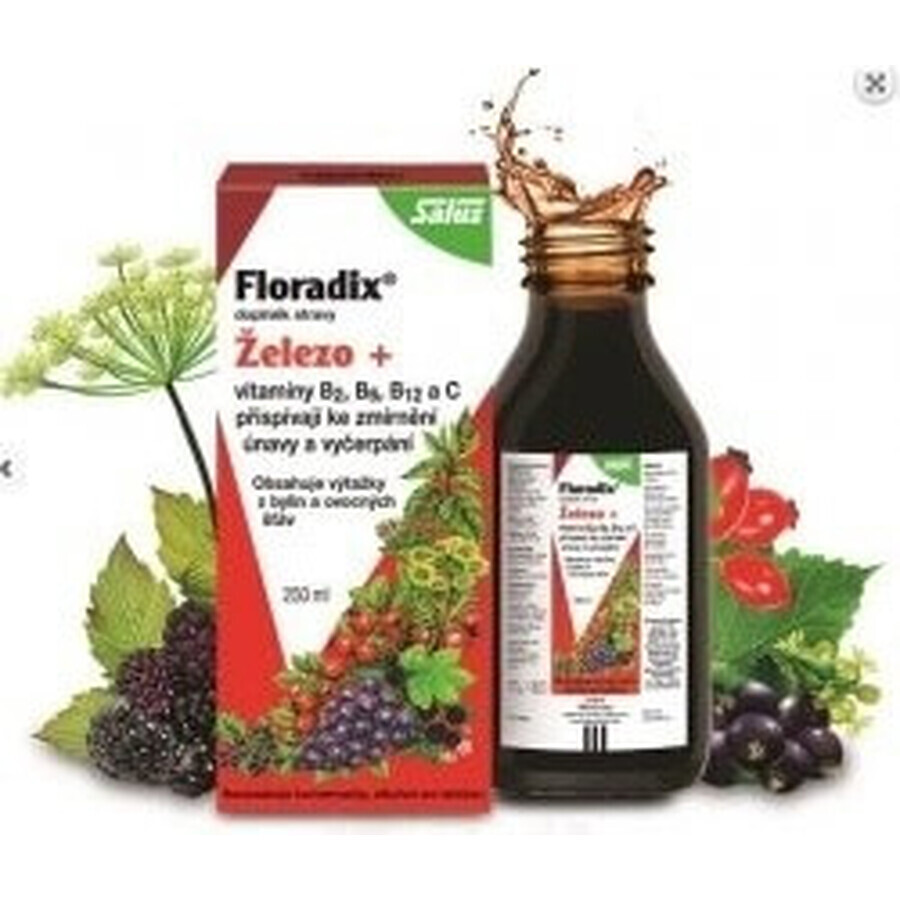 SALUS Floradix Gallexier 1×250 ml, forma liquida