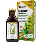 SALUS Floradix Gallexier 1×250 ml, forma liquida