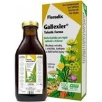 SALUS Floradix Gallexier 1×250 ml, forma liquida