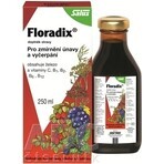 SALUS Floradix Gallexier 1×250 ml, forma liquida