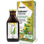 SALUS Floradix Gallexier 1×250 ml, forma liquida