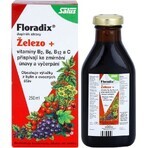 SALUS Floradix Gallexier 1×250 ml, forma liquida