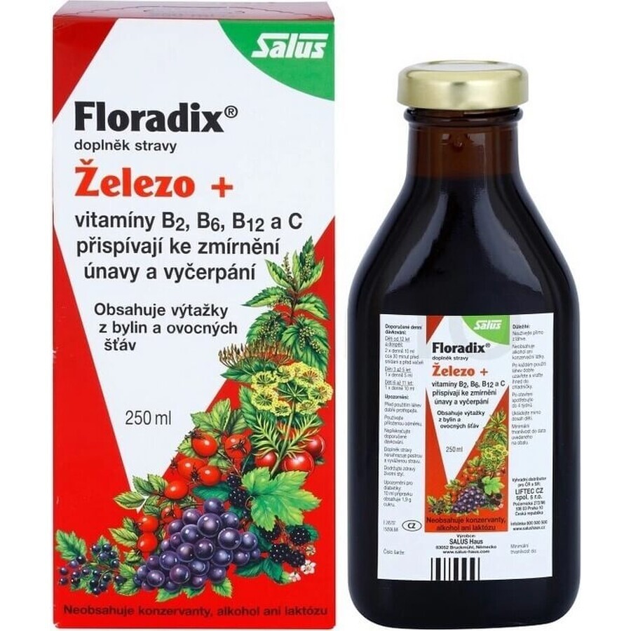 SALUS Floradix Gallexier 1×250 ml, forma liquida