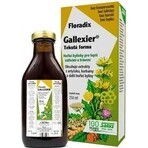 SALUS Floradix Gallexier 1×250 ml, forma liquida